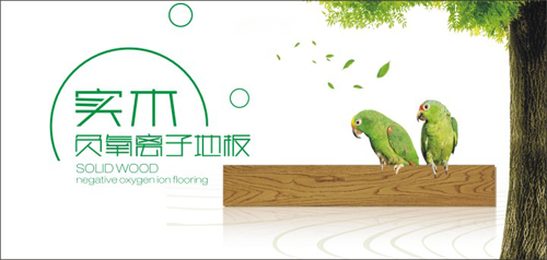PG东升国际产品|天科负离子地板，把山中氧气带回家