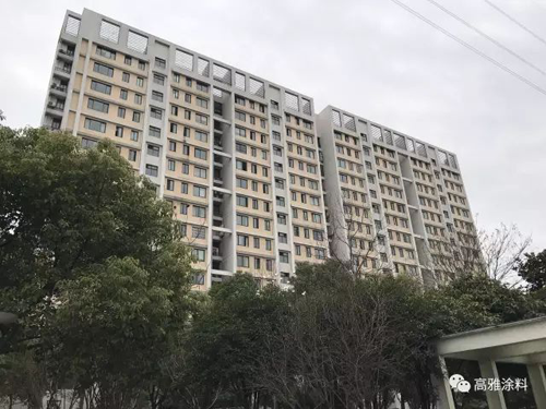 PG东升国际产品|高雅弹性涂料——平平淡淡就是我