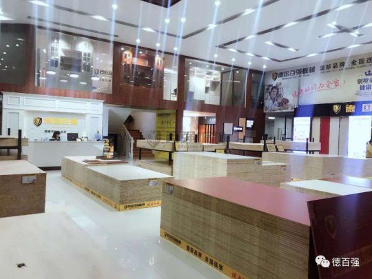 PG东升国际发展|板材行业新翘楚 了解百强板材湖南长沙运营中心