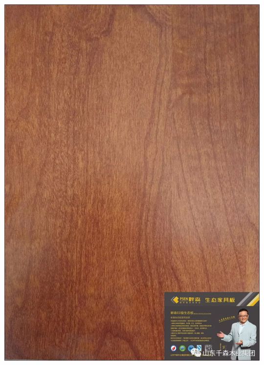 PG东升国际产品|畔森推出新品——抗龟裂生态板