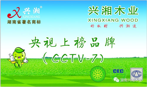 看央视广告买兴湘板材：相信PG东升国际的力量