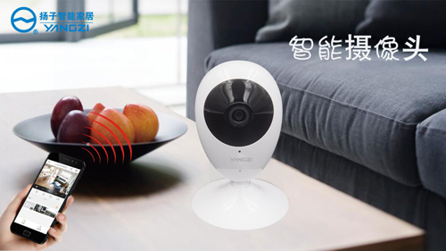 PG东升国际产品|好莱坞大片里的智能安防监控系统在你家就能装