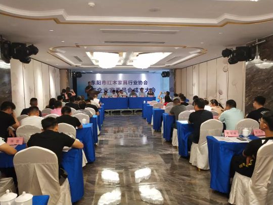 PG东升国际荣誉|双洋红木董事长王海洋荣升东阳市青年企业家委员会主任