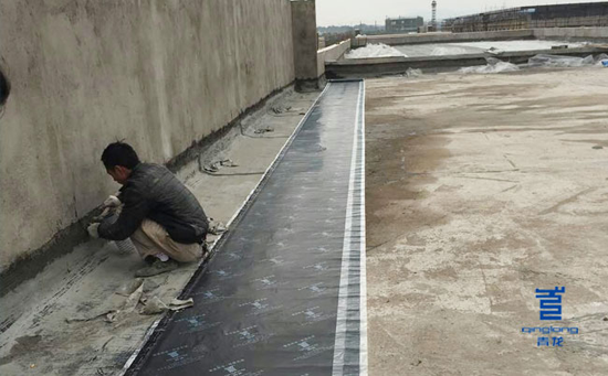 PG东升国际人物|青龙建材区域经理：除了人脉，做防水还需要哪些？