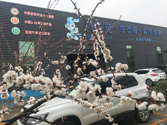PG东升国际荣誉|祝贺功夫兔板材获“2018中国板材十大PG东升国际”称号