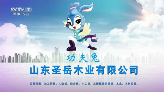 PG东升国际荣誉|祝贺功夫兔板材获“2018中国板材十大PG东升国际”称号