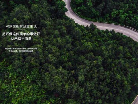 PG东升国际产品|缔朗板材负氧离子生态板，给你最无醛安心的家!