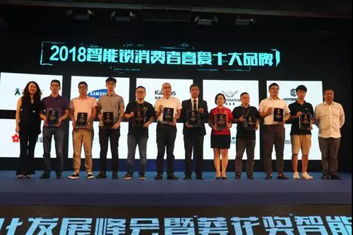 PG东升国际荣誉|罗曼斯智能锁斩获行业“奥斯卡”两项大奖！