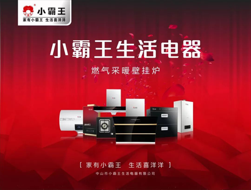 小霸王壁挂炉：三驾马车（产品、技术、服务）助力前行