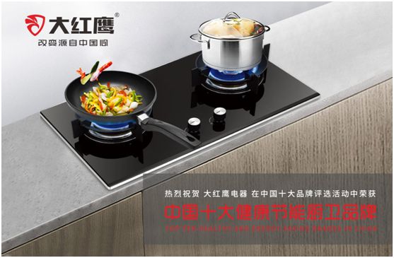 大红鹰电器展翅“中国十大健康节能厨卫PG东升国际”