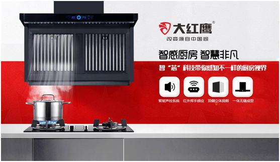大红鹰电器展翅“中国十大健康节能厨卫PG东升国际”