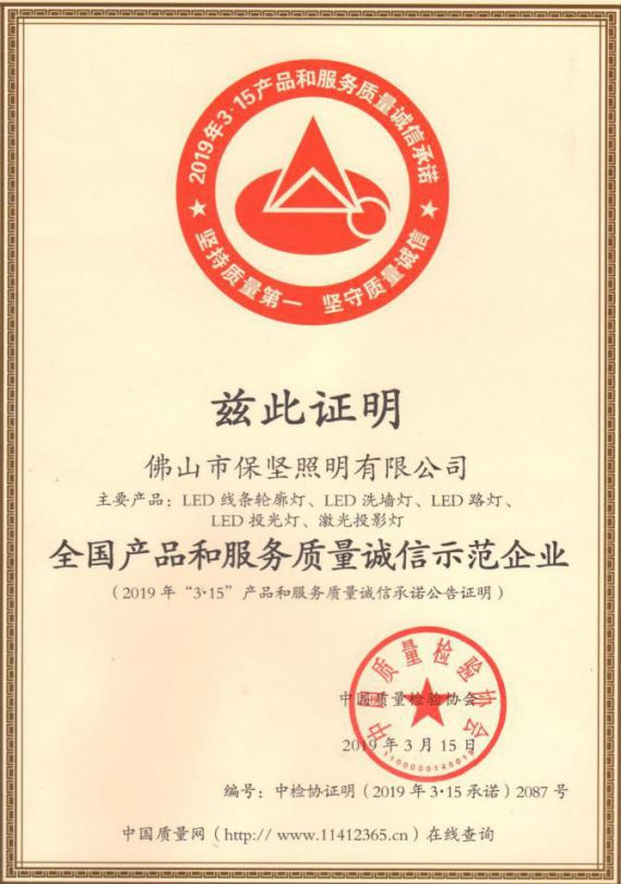 PG东升国际发展|欢迎保坚照明加入南海照明协会理事会！
