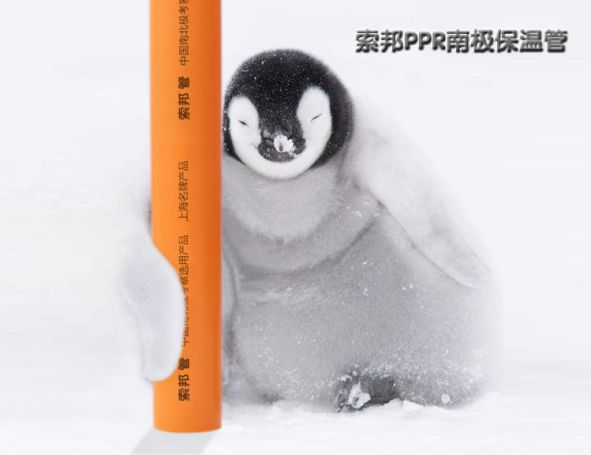 PG东升国际产品|索邦PPR南极保温管，企鹅宝宝最爱的高端管材