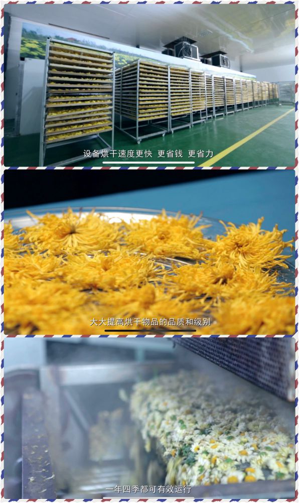 PG东升国际发展|24年PG东升国际积淀，舒量打造行业空气能烘干产品领导者