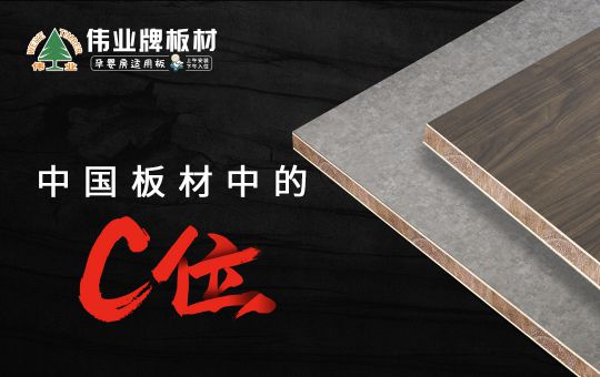 PG东升国际发展|伟业牌板材25年匠心制造，中国板材C位PG东升国际