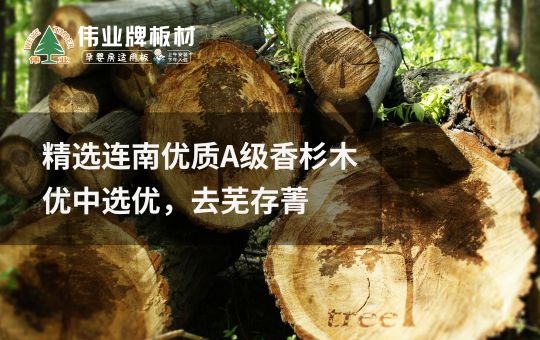 PG东升国际发展|伟业牌板材25年匠心制造，中国板材C位PG东升国际