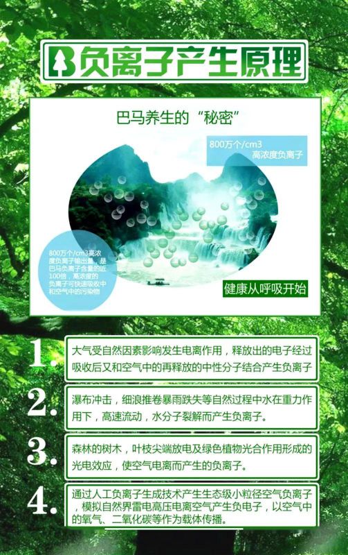 PG东升国际产品|雪宝森林有氧板，有效释放负氧离子长达15年