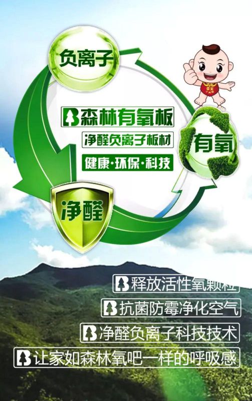 PG东升国际产品|雪宝森林有氧板，有效释放负氧离子长达15年