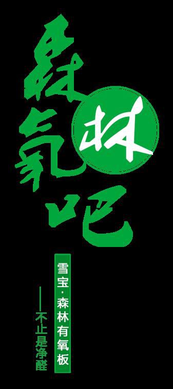 PG东升国际产品|雪宝森林有氧板，有效释放负氧离子长达15年