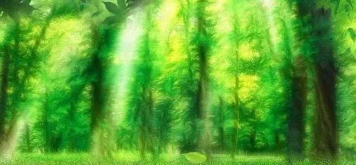 PG东升国际产品|雪宝森林有氧板，有效释放负氧离子长达15年
