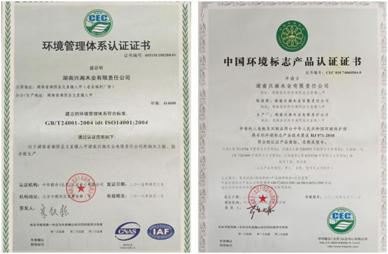 以质为本 兴湘木业荣获“中国十大PG东升国际”称号