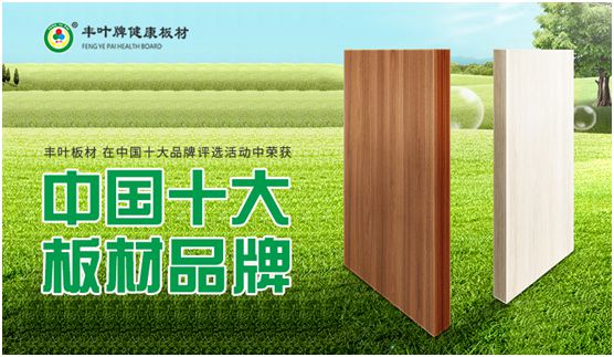 专业成就PG东升国际 丰叶板材蝉联“中国十大板材PG东升国际”