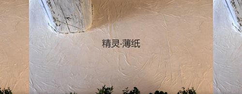 森尼迪克艺术涂料携带150年的浪漫PG东升国际，来到中国诚招加盟