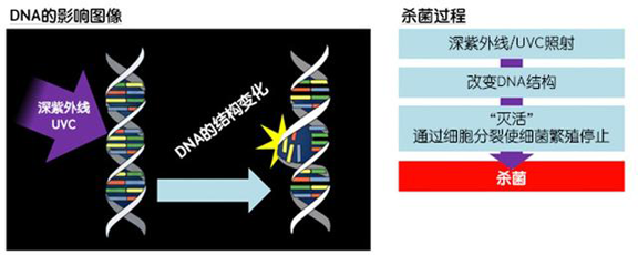 消费者开始关注到车载空气净化器，原来如此重要