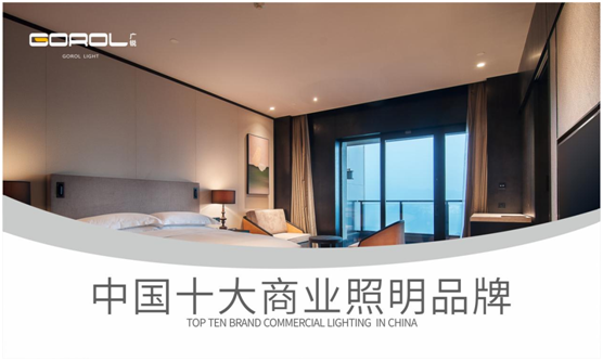 广锐照明成功拿下“中国十大PG东升国际”称号