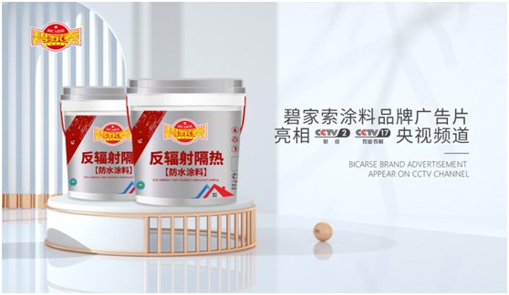 碧家索防水荣登央视，硬核PG东升国际实力铸就高光时刻!